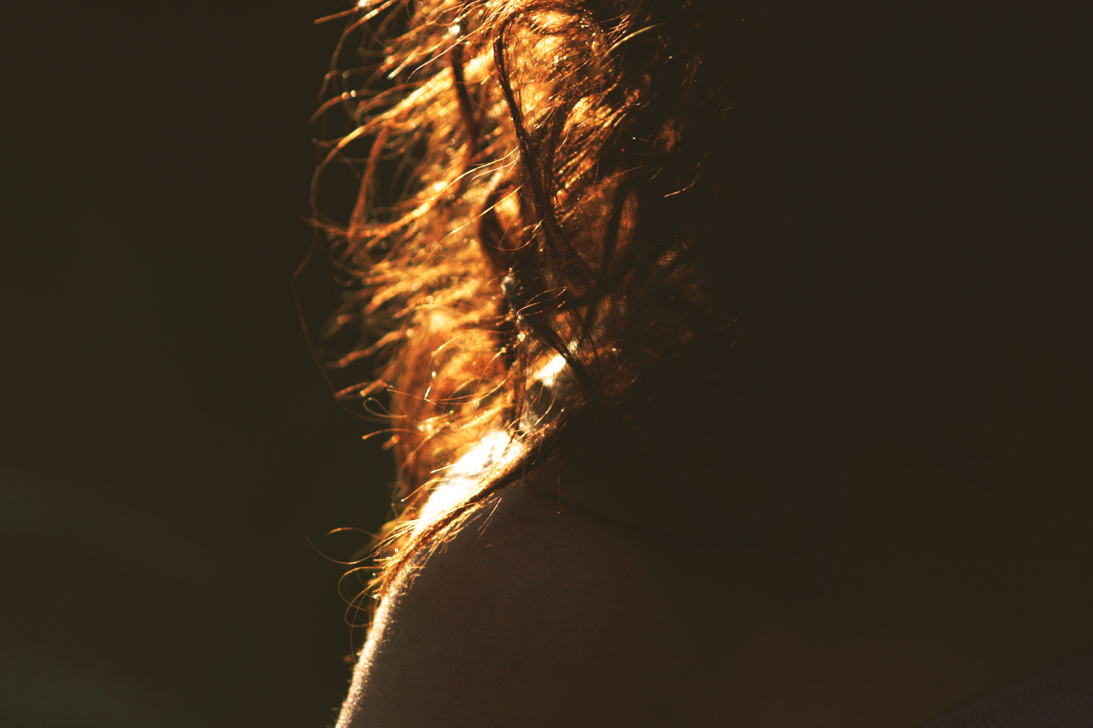 Zbliżenie na włosy mieniące się w słońcu, ilustrujące spektakularny blask i zdrowy wygląd, jaki nadaje profesjonalna kuracja botoks na włosy marki KV-1.